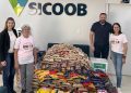 Sicoob São Miguel arrecada cerca de 5.000 kg de alimentos na campanha Alimente o Bem