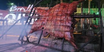 2º Braseiro Bratti terá búfalo de aproximadamente 250 kg assado por mais de 20 horas no 13º Encontro